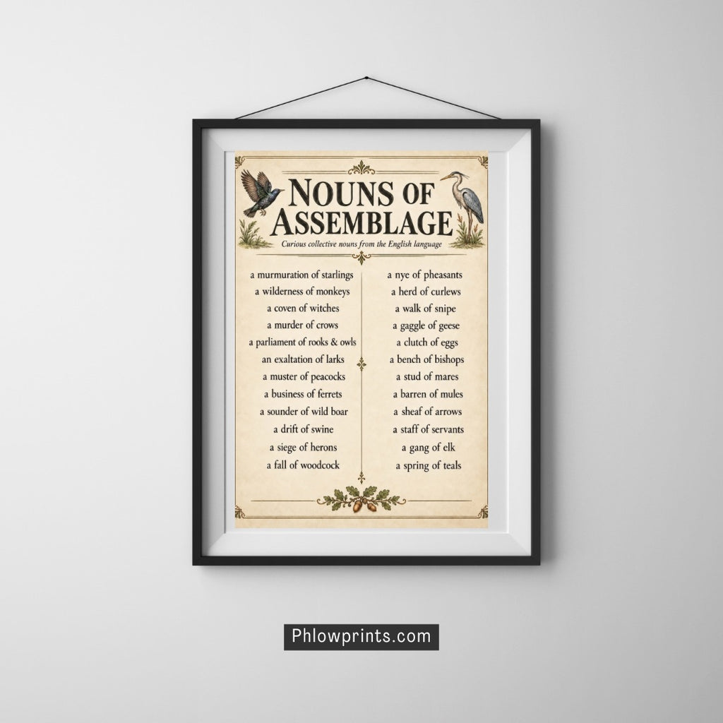 Nouns of Assemblage Poster – Curious Collective Nouns Wall Art