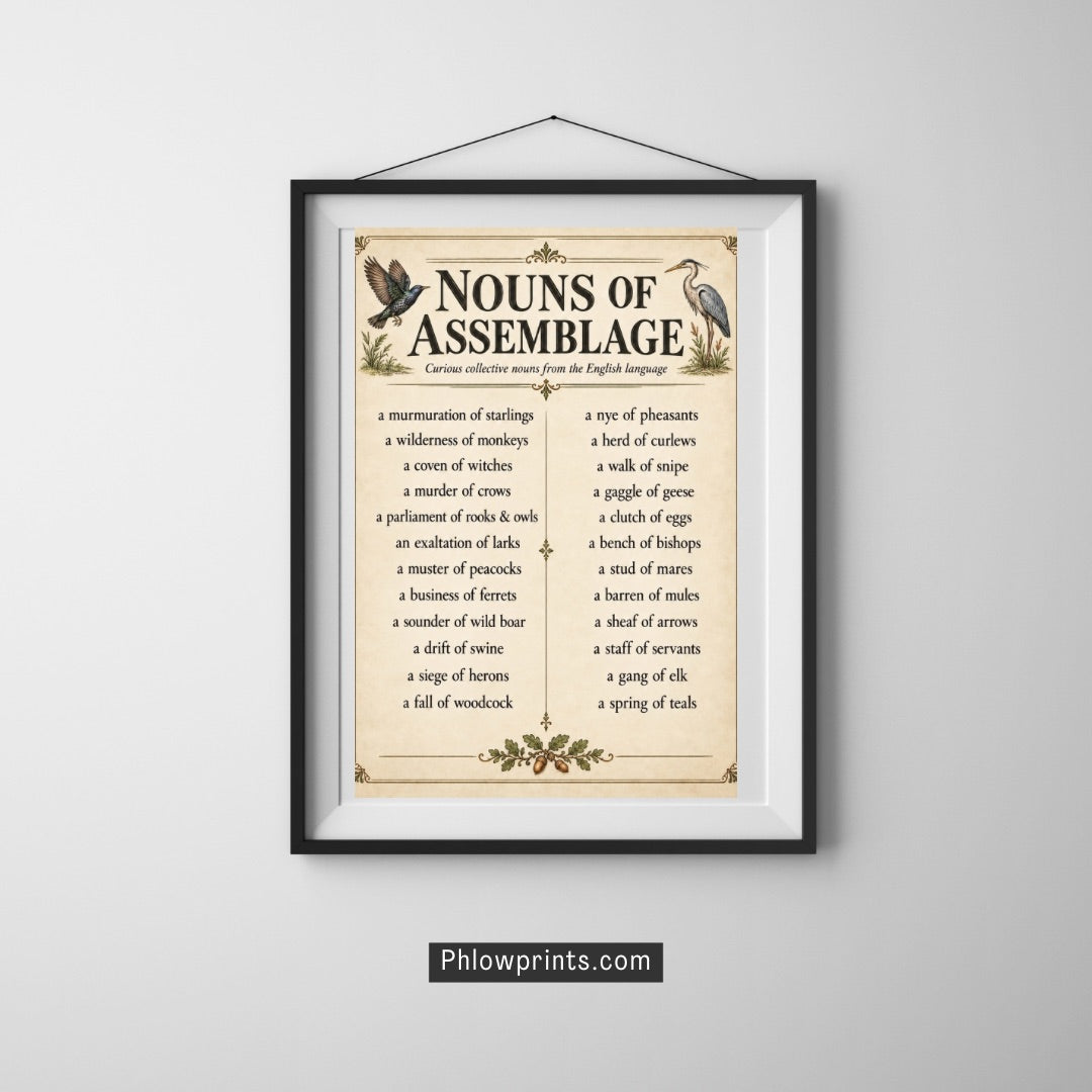 Nouns of Assemblage Poster – Curious Collective Nouns Wall Art