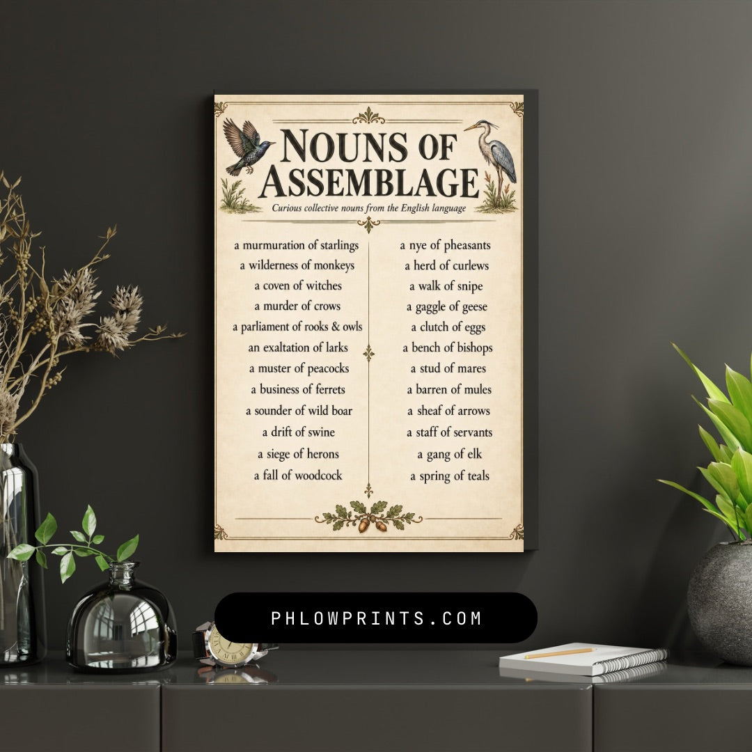 Nouns of Assemblage Poster – Curious Collective Nouns Wall Art