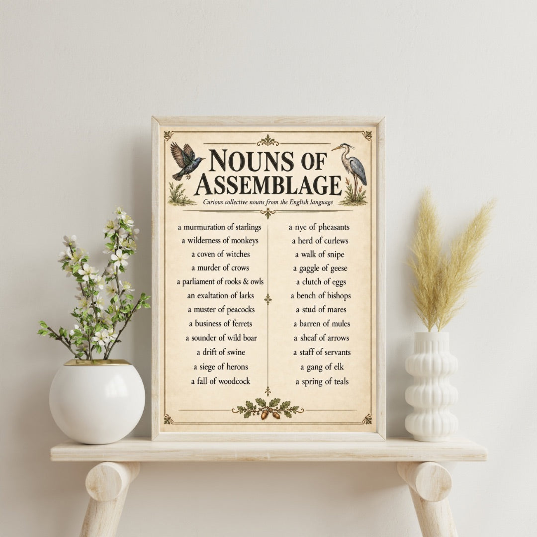 Nouns of Assemblage Poster – Curious Collective Nouns Wall Art